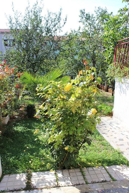 Pet Friendly Apartment In Porec With Wifi Zimmer foto